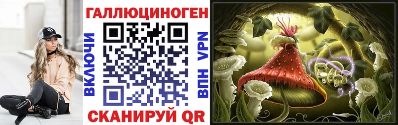 Купить где  Питкяранта  Галлюциногенные грибы ЛСД 